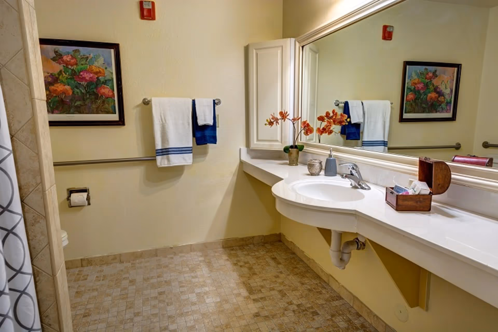Accessible bathroom with a sink and countertop, large mirror, grab bars, towel rack, and floral artwork on the wall.