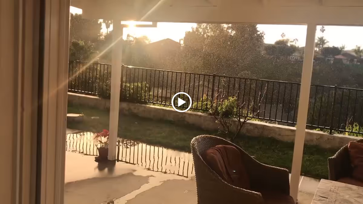 View of a covered patio area with wicker chairs and cushions, overlooking a grassy yard with a black metal fence and some plants, during sunset.