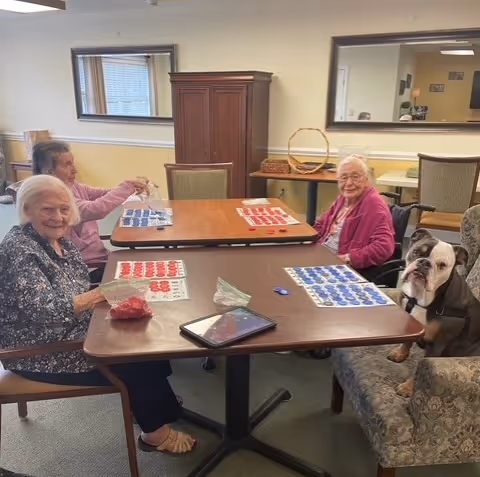 Three elderly women and a dog sit around tables playing bingo in a senior living common room.