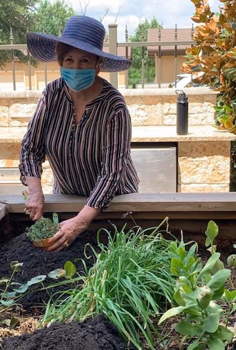 An elderly woman wearing a wide-brimmed blue hat and a face mask is gardening outdoors. She is planting a small potted plant into a raised garden bed filled with soil and various green plants. The background shows a stone wall, a water bottle, and some trees under a partly cloudy sky.