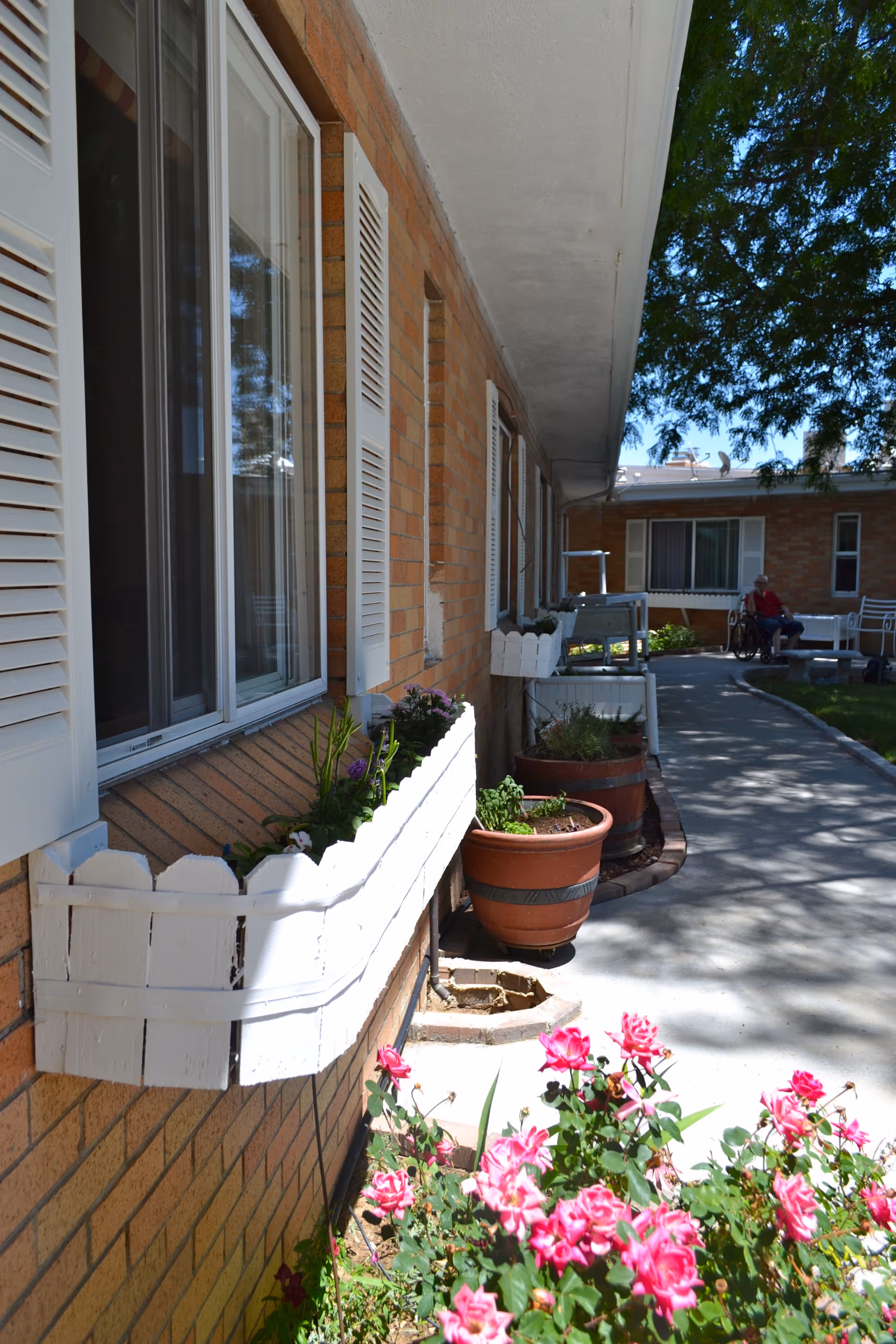 Outdoor walkway along a brick building with white window shutters and flower boxes. There are potted plants and pink flowers in the foreground, with a person sitting in a wheelchair near the building in the background under a tree.