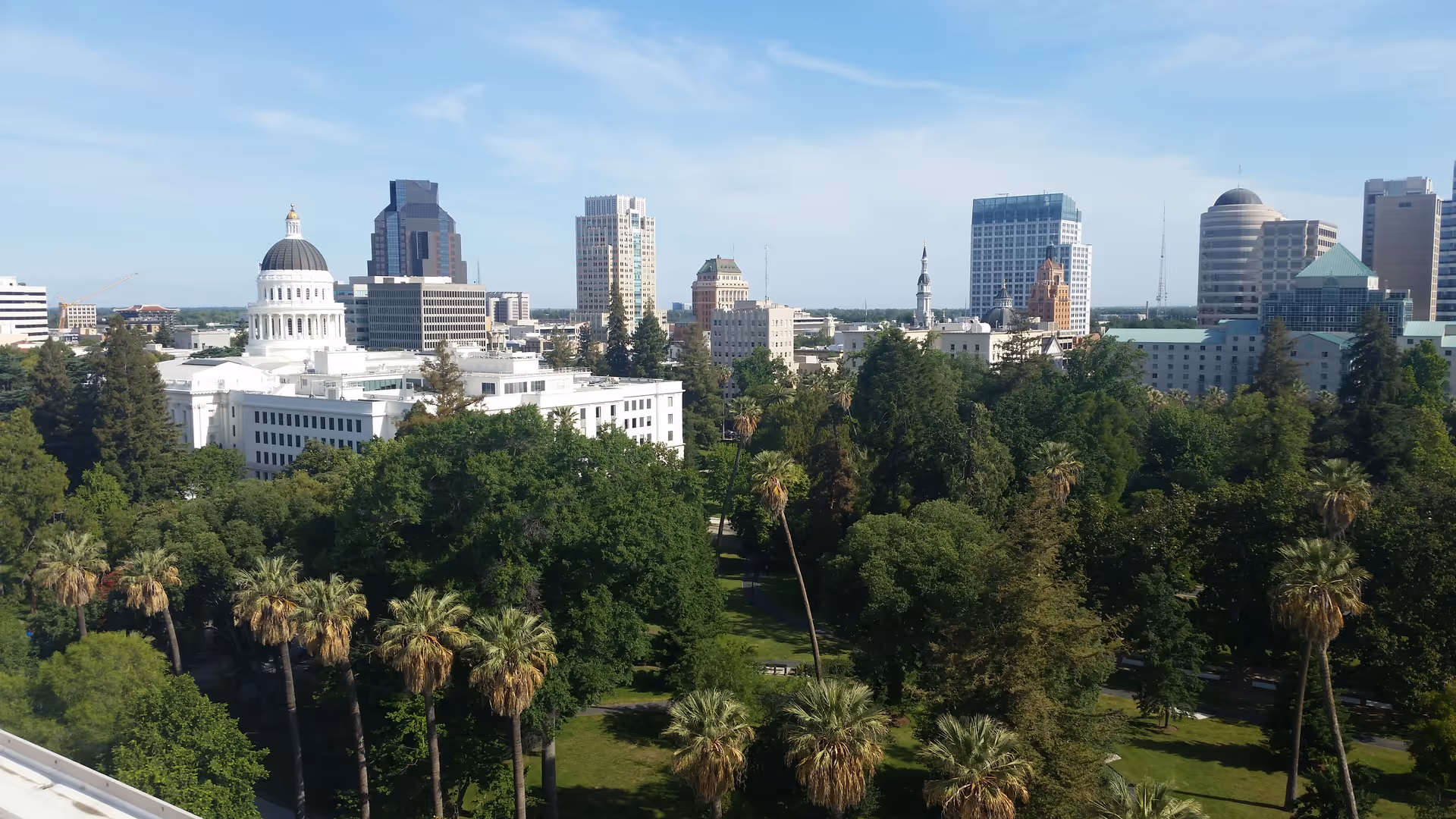 City skyline with a white domed capitol building and a tree-filled park with palm trees in the foreground.
