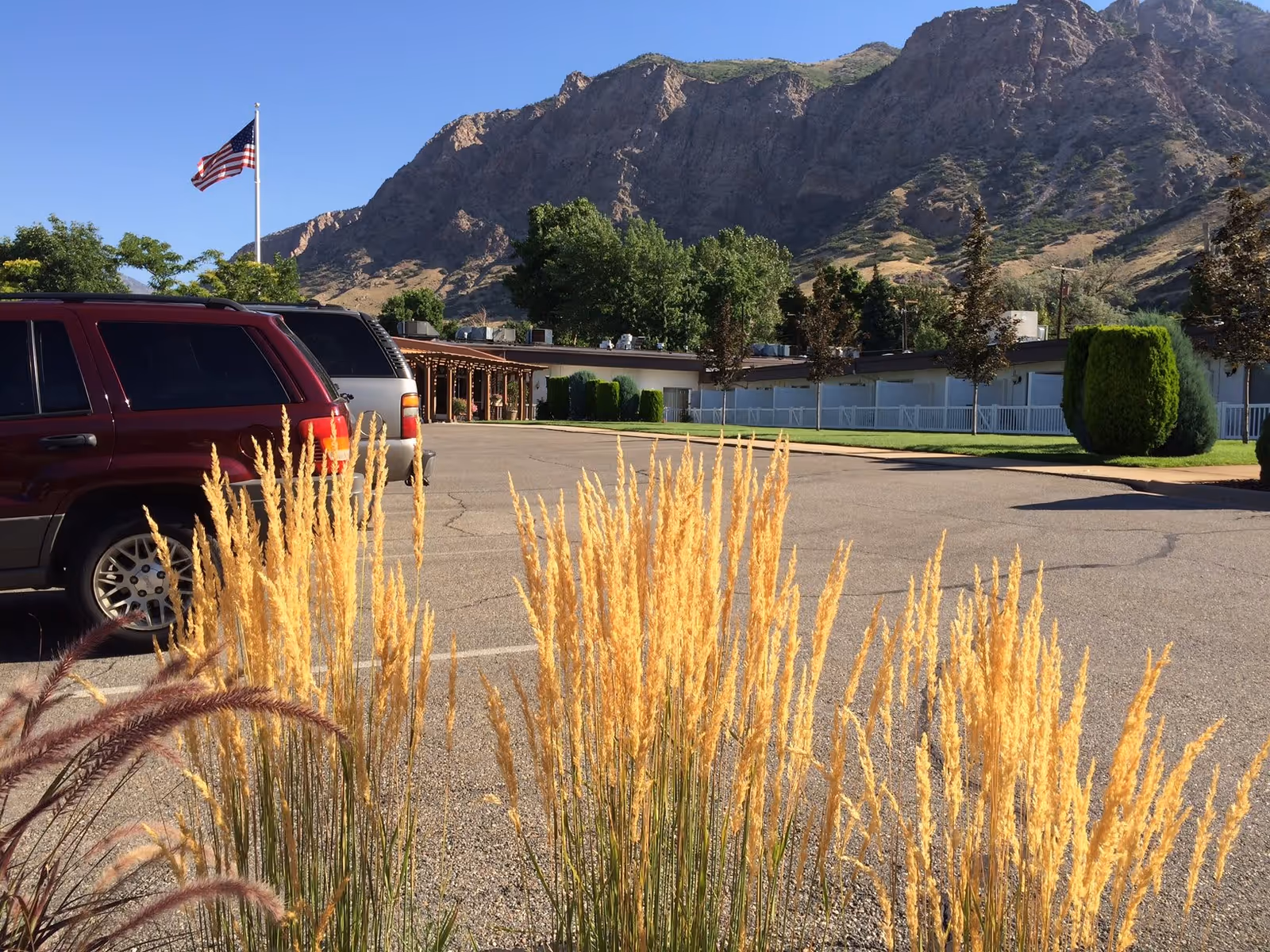Parking lot with several parked vehicles in front of a single-story building with a covered entrance. There are ornamental grasses in the foreground, an American flag on a flagpole, trees, and a mountain range in the background under a clear blue sky.