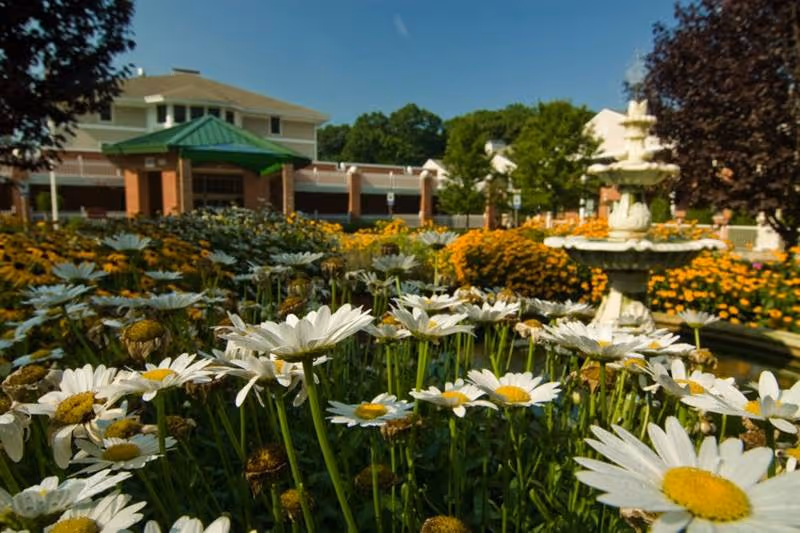 White daisies and a tiered fountain in a landscaped front garden with the Fountainview building in the background.