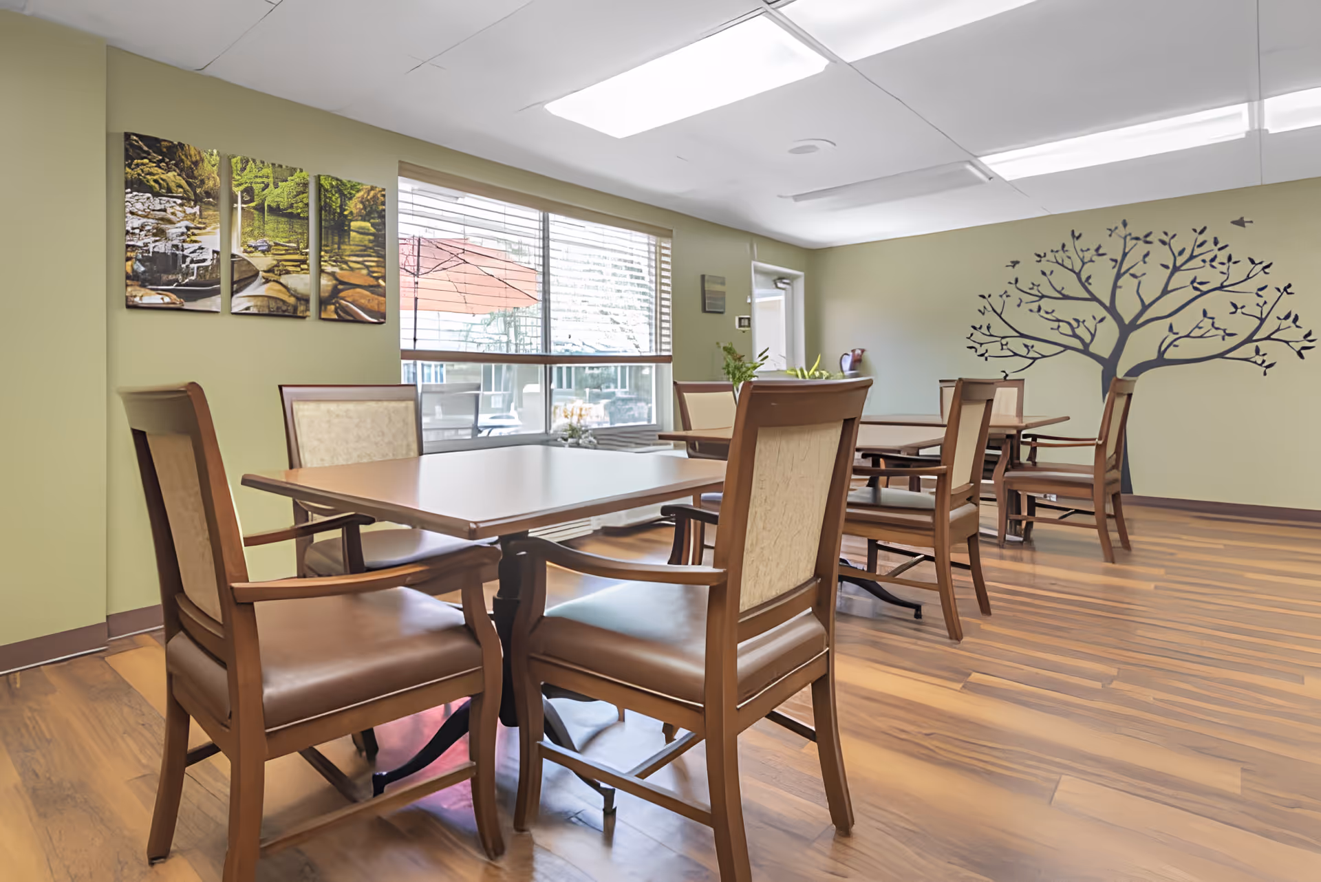 A bright dining room with wooden tables and chairs arranged neatly on a wooden floor. The walls are painted light green, decorated with a large tree mural and a three-panel nature artwork. A large window with blinds lets in natural light and shows an outdoor patio with an umbrella.