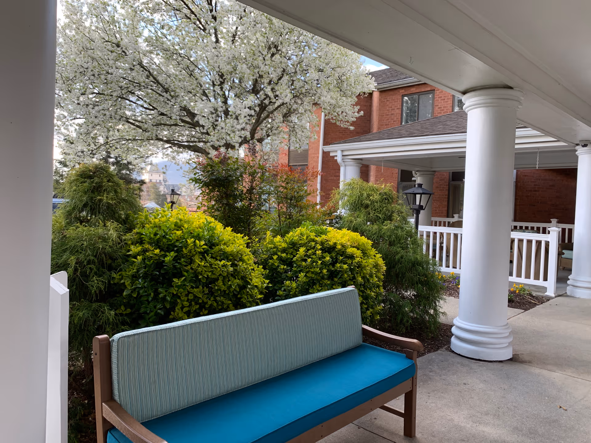 Outdoor seating area at a senior living facility with a cushioned bench in the foreground, surrounded by green bushes and a blooming tree with white flowers. The background shows a brick building with white columns and a covered porch.