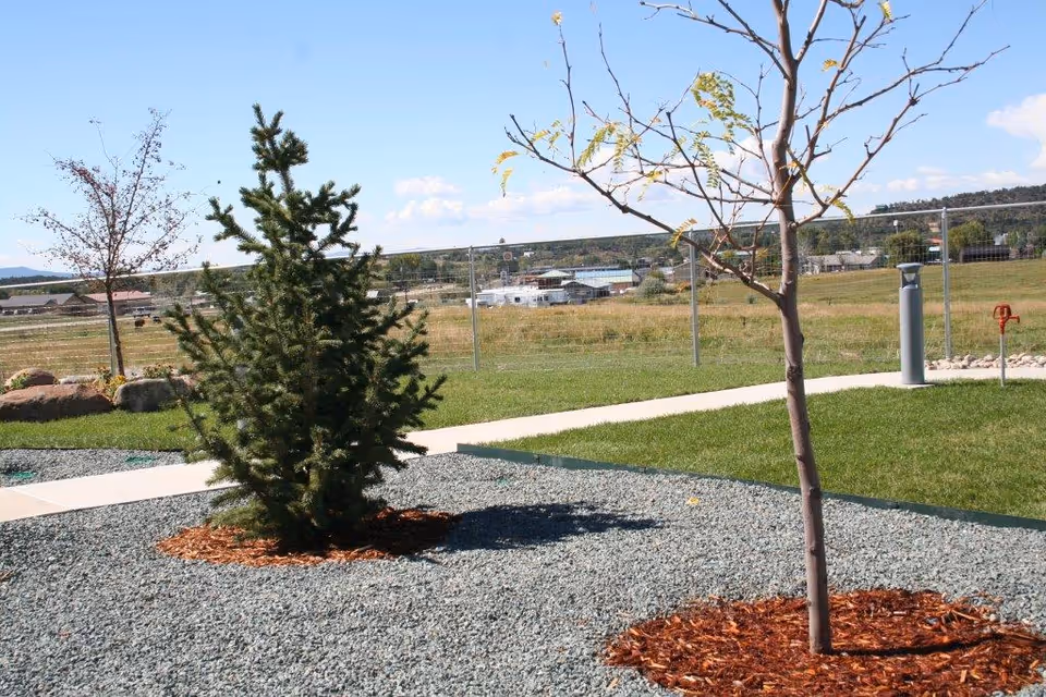 Outdoor landscaped area with small trees planted in mulch surrounded by gravel, a concrete walkway, and a grassy lawn. In the background, there is a wire fence and a view of distant buildings and hills under a partly cloudy sky.