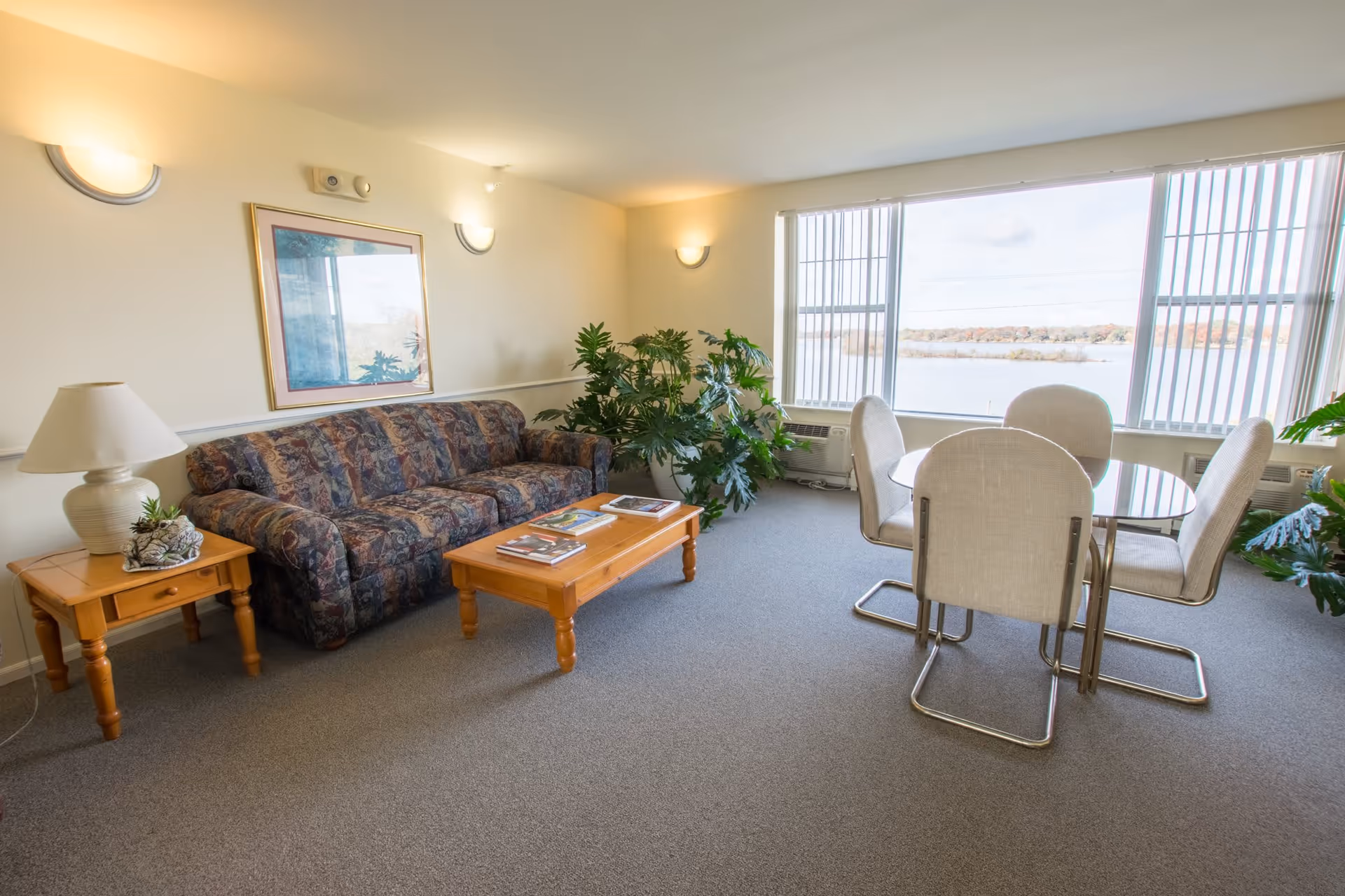 A bright living room with a patterned sofa, wooden coffee table with magazines, side table with a lamp and plant, a round glass dining table with four beige chairs, large windows with vertical blinds showing a view of a lake and trees, and several green plants.