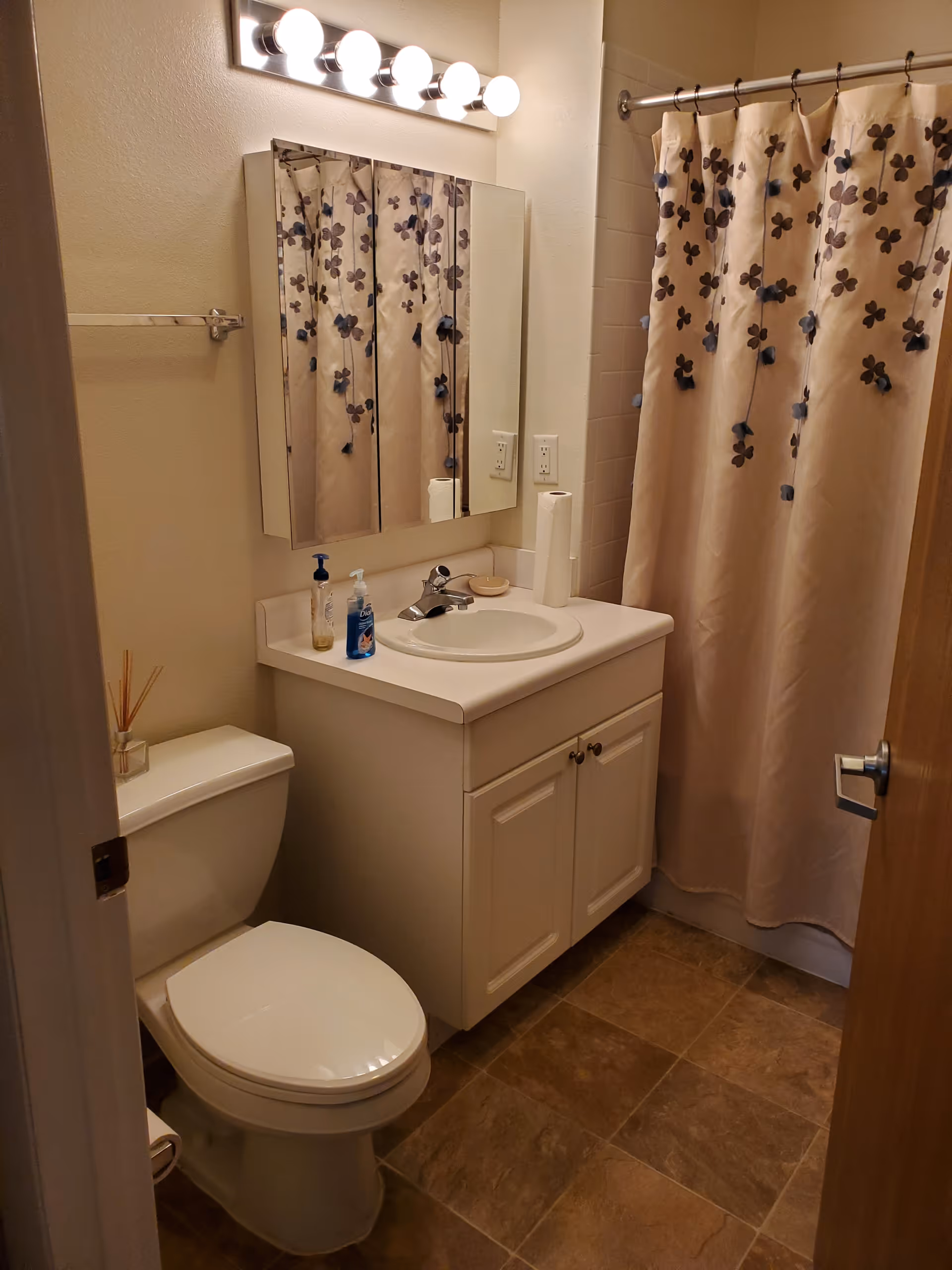 A small bathroom with a white toilet, a white vanity with a sink, a mirror cabinet above the sink, a light fixture with five round bulbs, and a shower with a curtain decorated with blue and brown floral patterns.