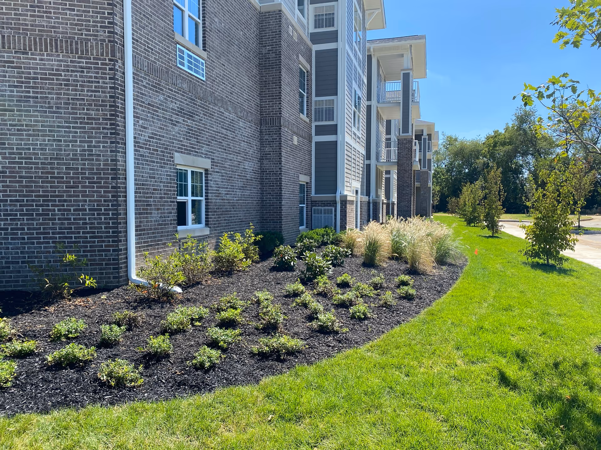 Exterior view of a multi-story brick and siding building with landscaped garden beds containing small shrubs and ornamental grasses, bordered by a well-maintained green lawn under a clear blue sky.