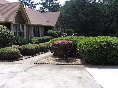 Exterior view of Kind Heart Personal Care Home with manicured bushes and a driveway.
