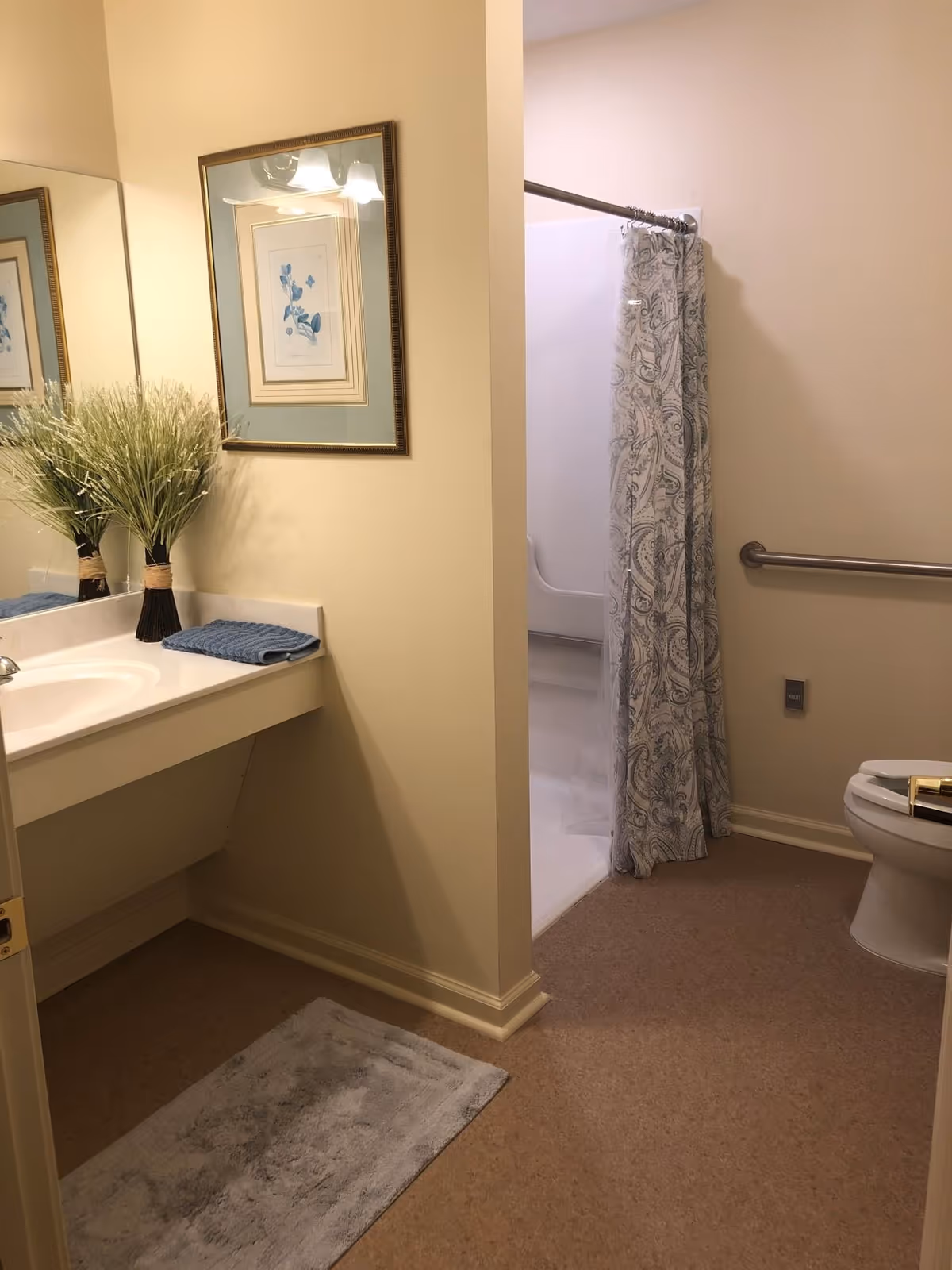 Accessible bathroom with a vanity and mirror, decorative plant, shower with a patterned curtain, and a grab bar by the toilet.
