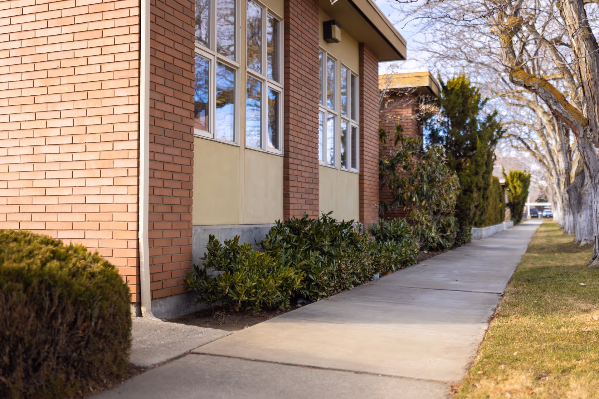 Side view of a brick and beige building with large windows, a concrete sidewalk, and bushes along the building. Leafless trees line the grassy area beside the sidewalk.