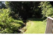 A grassy outdoor area with a small creek running through it, surrounded by trees and bushes. A wooden railing is visible on the right side of the image.