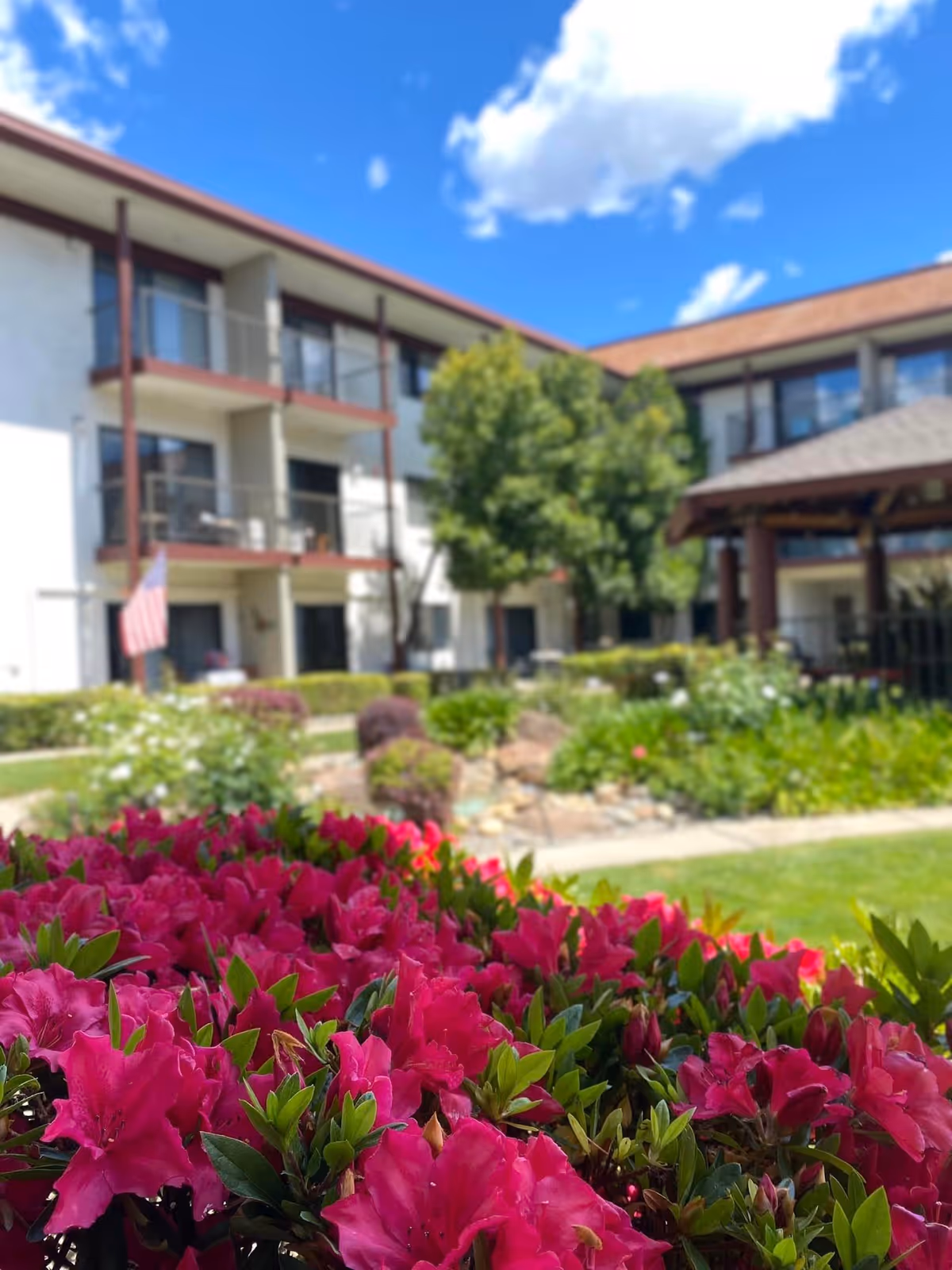Bright pink flowers in the foreground with a senior living facility building and green trees in the background under a blue sky with some clouds.