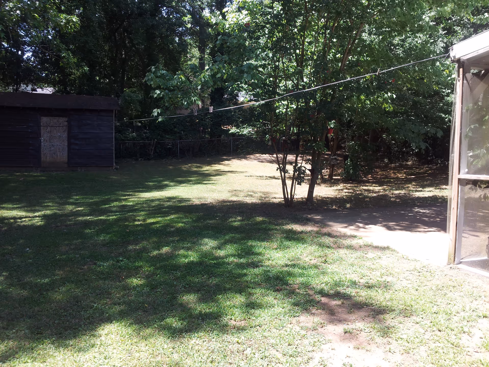 A grassy backyard area with a small tree in the center, a wooden shed with a boarded-up door on the left, and a screened porch on the right. The yard is surrounded by trees and shaded areas.