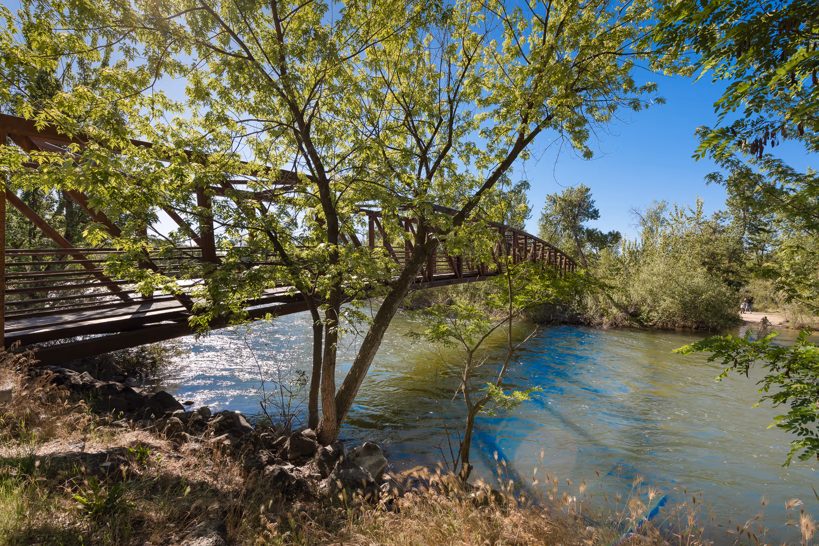 A scenic outdoor view featuring a wooden pedestrian bridge over a flowing river surrounded by lush green trees and vegetation under a clear blue sky.
