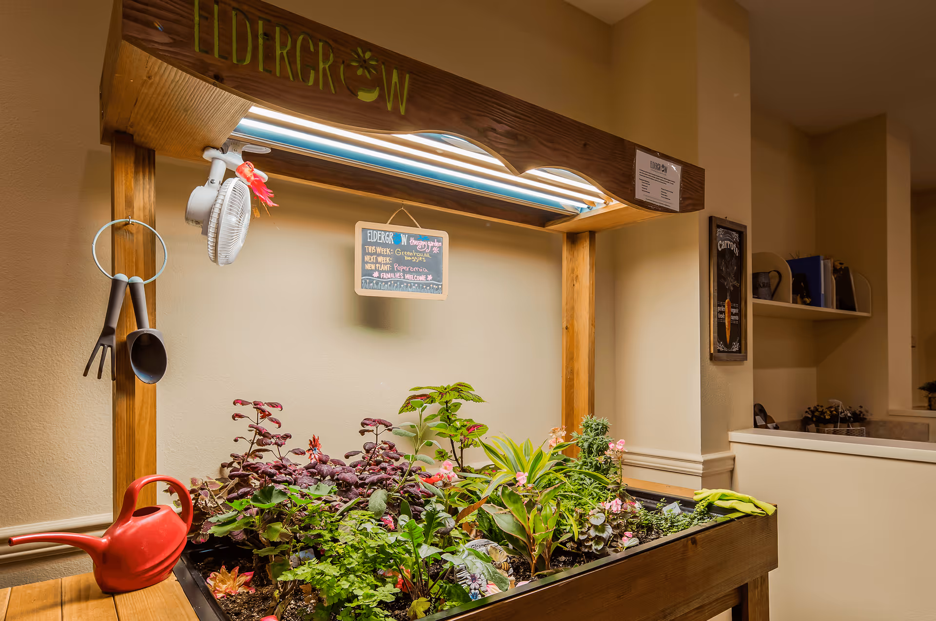 Indoor gardening station with various plants growing under a wooden frame with a light fixture. A small fan and gardening tools hang on the side, and a red watering can is placed on a wooden surface nearby. A small chalkboard sign hangs above the plants with gardening information. The setting appears to be inside a senior living facility.