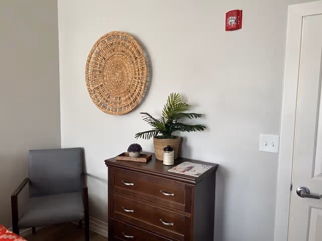 A corner of a room featuring a gray upholstered armchair, a dark wooden chest of drawers with three drawers, a potted green plant, a candle, a decorative item, and a magazine on top. A large woven circular wall decoration hangs above the chest of drawers on a light-colored wall. A white door with a silver handle is partially visible on the right side.