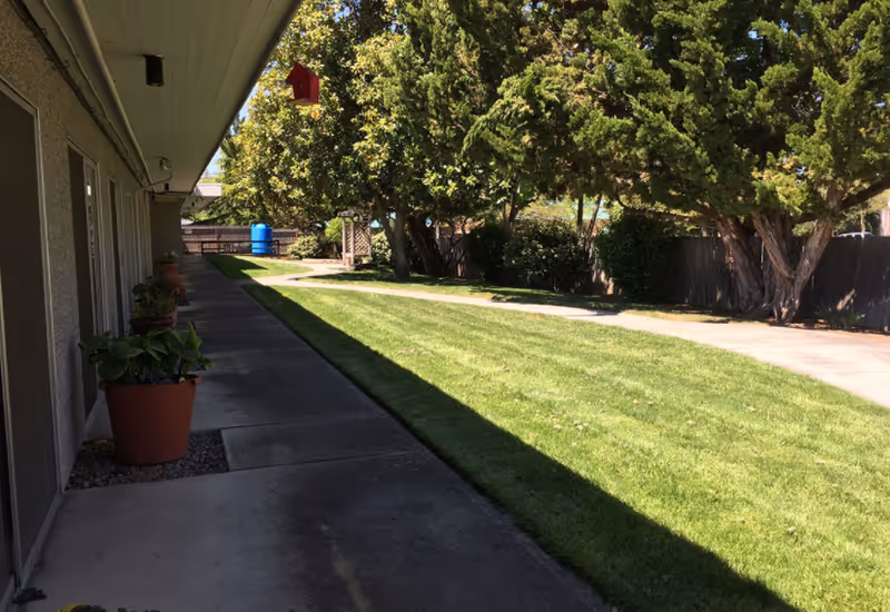Outdoor walkway beside a building with several potted plants along the wall, a well-maintained grassy area, trees, and a paved path under a clear sky.