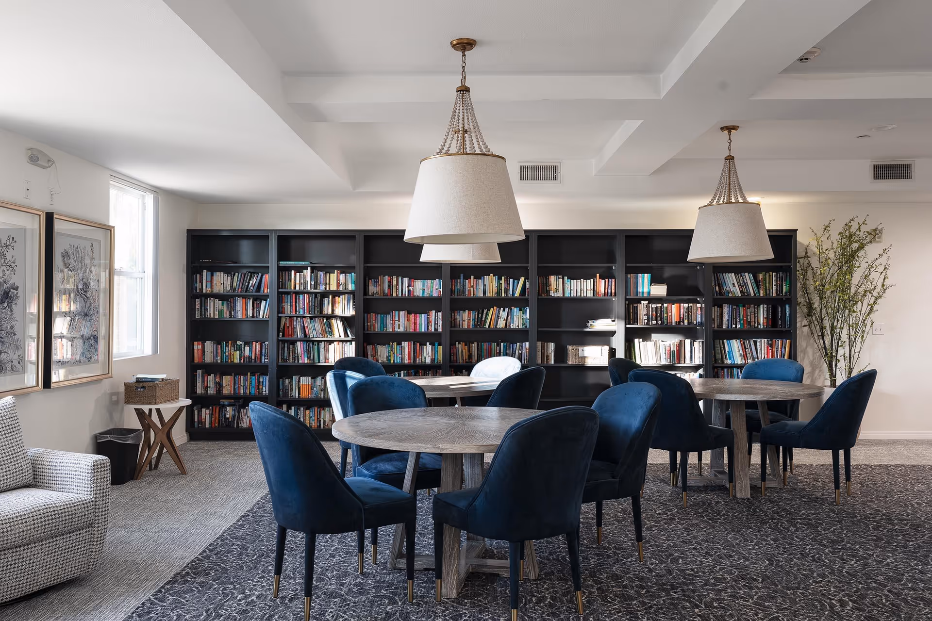 A cozy reading and seating area in Woodland Village featuring round wooden tables surrounded by blue upholstered chairs. Behind the tables is a large black bookshelf filled with books. The room is well-lit with natural light from a window on the left and two large pendant lamps hanging from the ceiling. There are framed artworks on the left wall and a tall plant on the right side of the room.