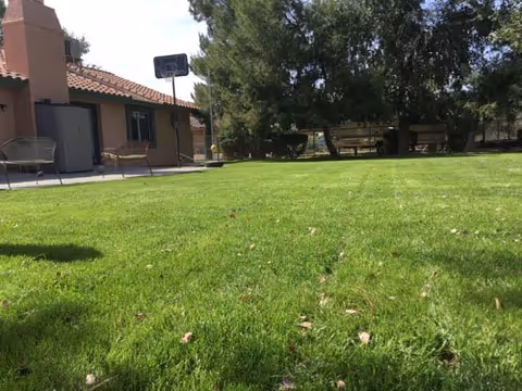 A grassy outdoor area with a basketball hoop, benches, and trees near a building with a tiled roof and patio chairs.