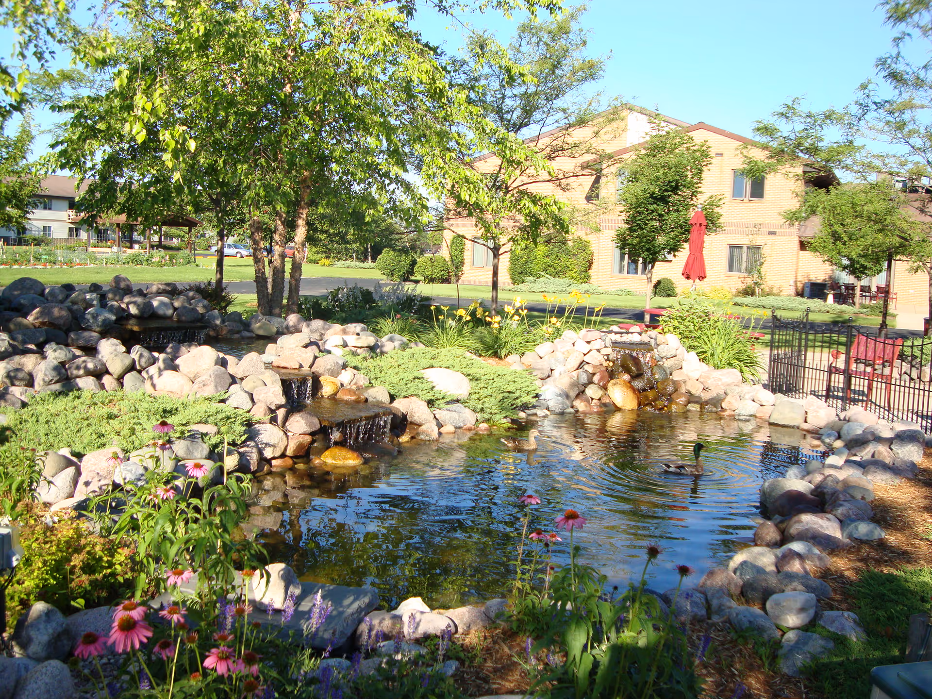 A landscaped outdoor garden area with a small pond surrounded by rocks and flowering plants. There are trees providing shade, a duck swimming in the pond, and a building in the background with windows and a red umbrella on a patio.