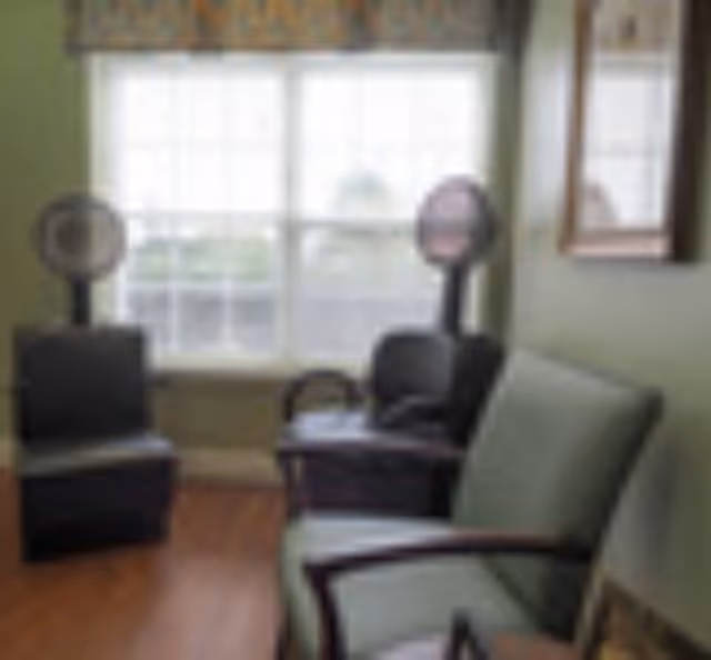 A small room with two black salon hair dryer chairs near a window with white blinds, and a green cushioned chair with wooden armrests in the foreground. The walls are painted green and there is a framed picture hanging on the right wall.