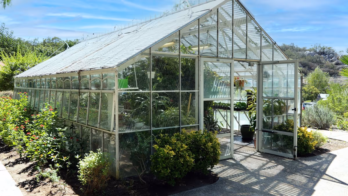 Glass greenhouse with open double doors surrounded by shrubs and garden beds.