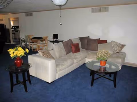 Cozy living room with white sectional sofa, blue carpet, and potted plants.