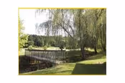 Outdoor area with a wooden footbridge over a small pond and trees.