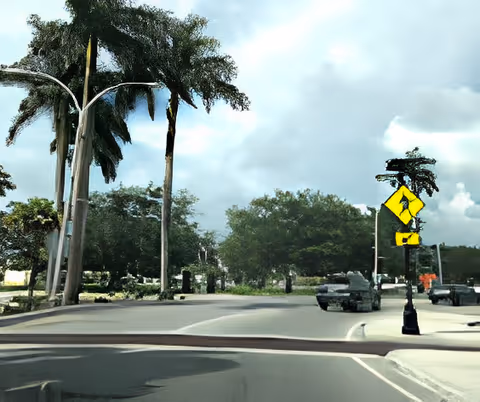 View of a street intersection with palm trees and other greenery on the sides. There are cars on the road and a pedestrian crossing sign visible on the right side. The sky is partly cloudy.