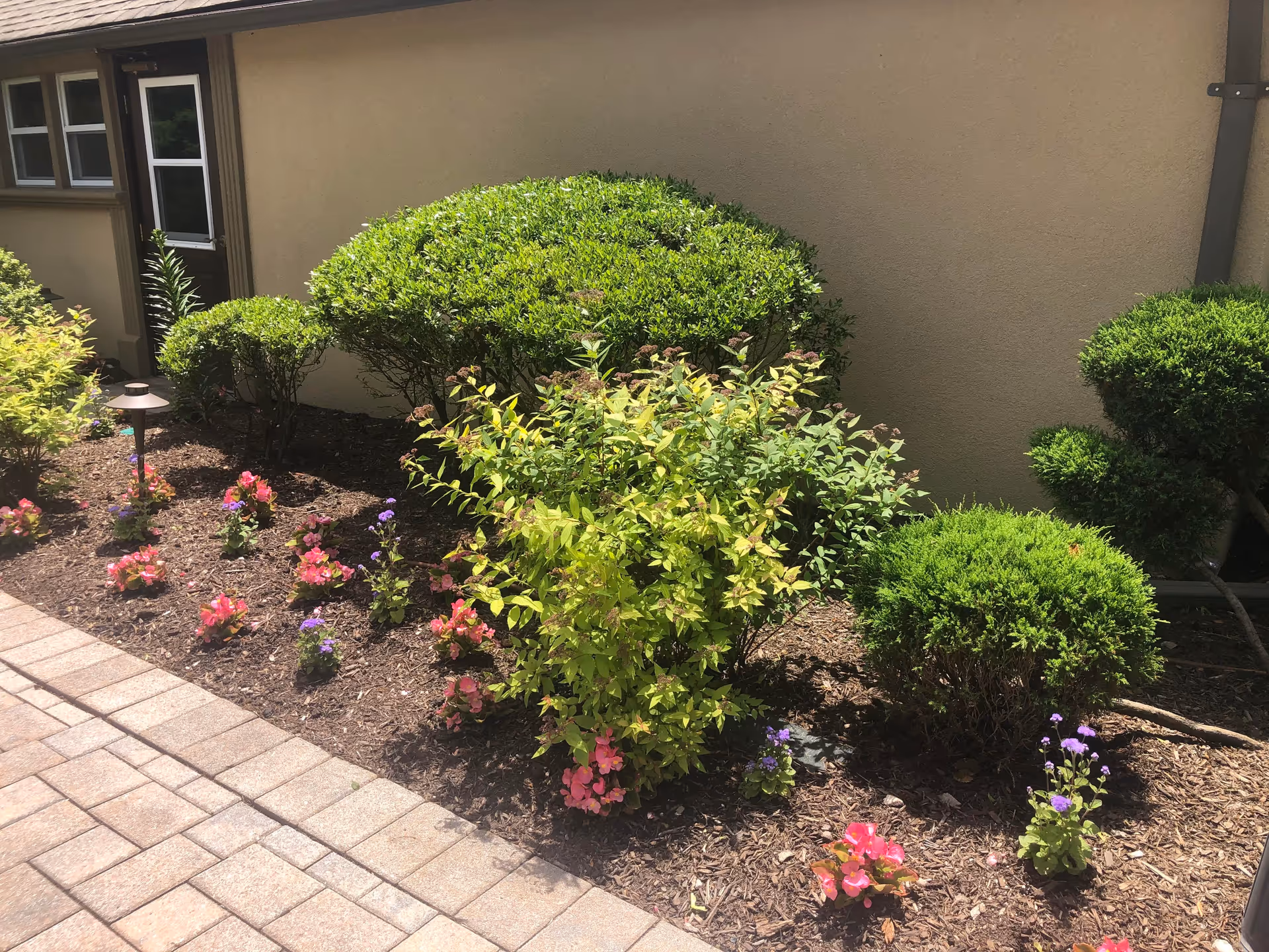 A landscaped garden area next to a beige building wall with various green bushes and small flowering plants. There is a paved walkway on the left side and a small outdoor lamp among the plants.