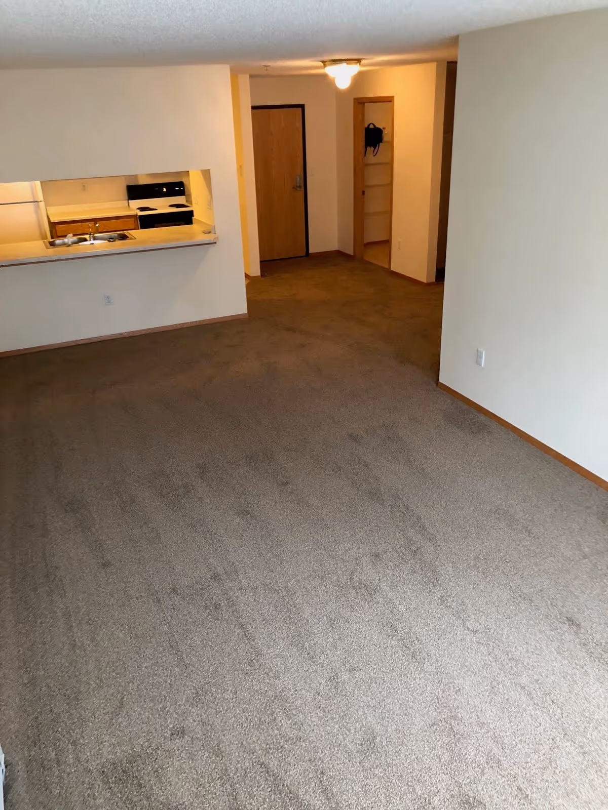 Empty carpeted living area with a view into a small kitchen featuring a stove, refrigerator, and sink. There is a wooden door and an open closet with shelves visible in the background. The walls are painted white and the room is lit by a ceiling light.
