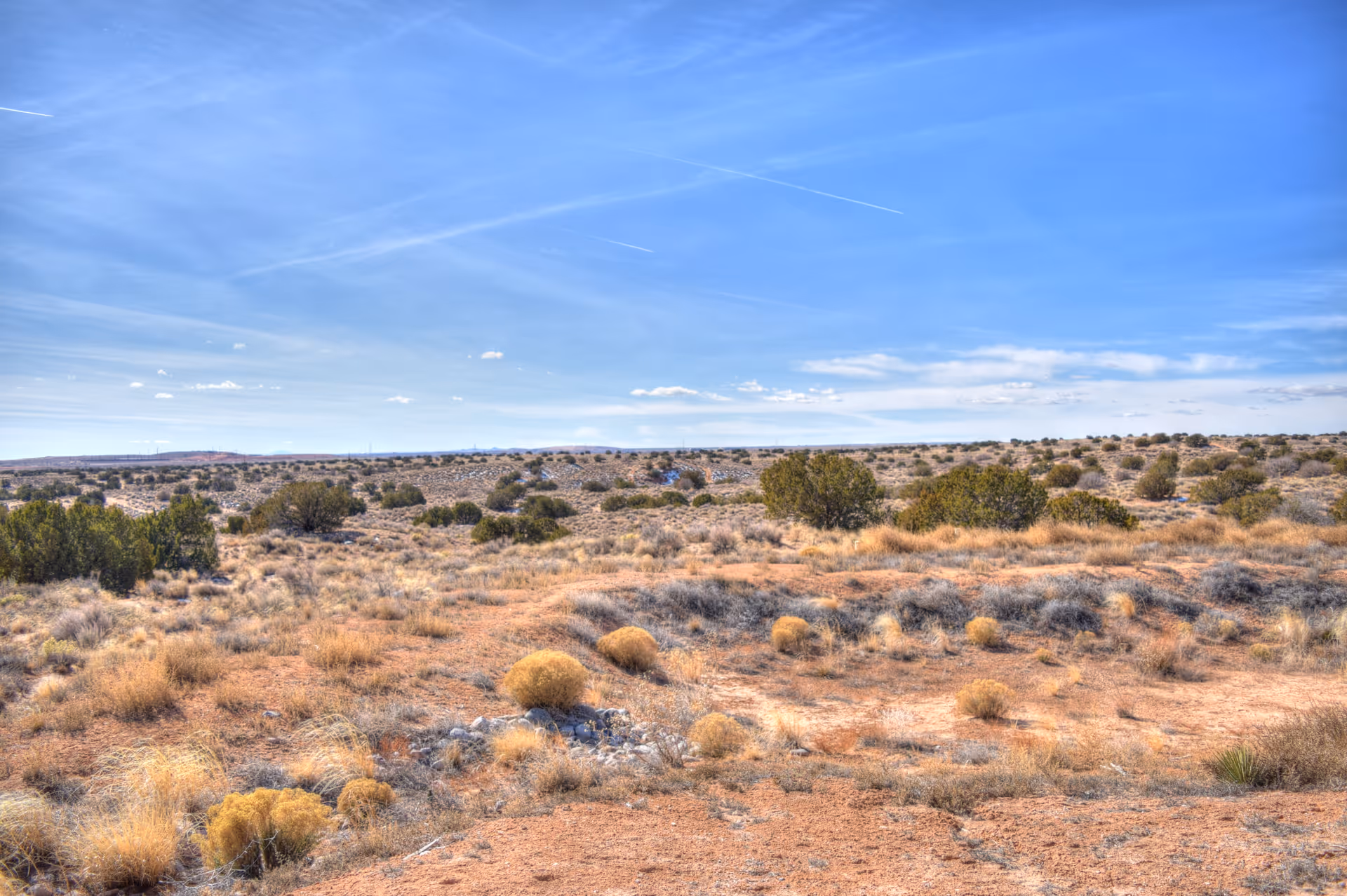 Open arid landscape with scrubby bushes and dry grasses under a wide blue sky.