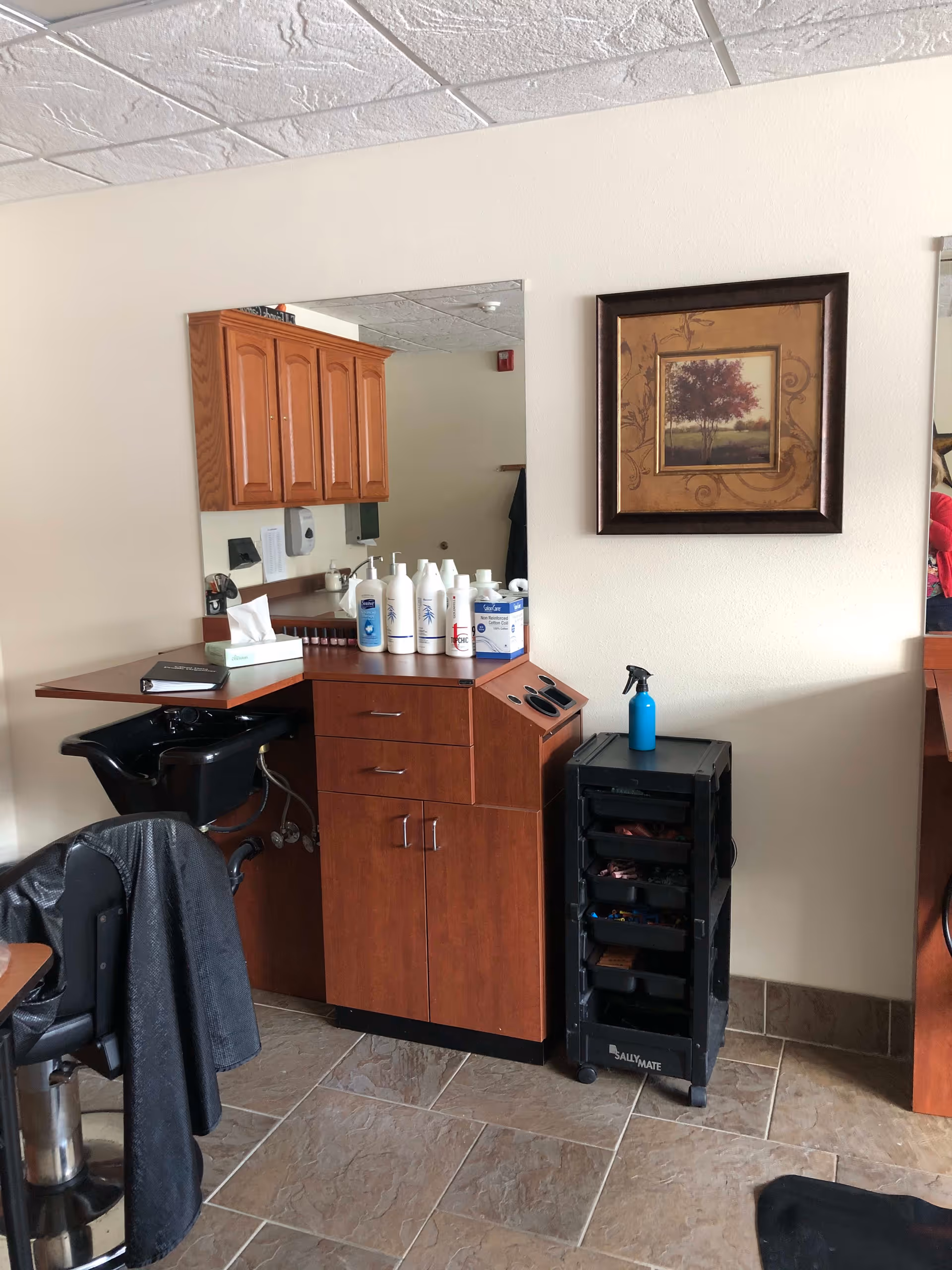 Interior view of a hair salon station with a black salon chair, a black hair washing sink, wooden cabinets, a large mirror, various hair care products on the counter, a black rolling cart with drawers labeled 'Sally Mate', and a framed picture of a tree on the wall.
