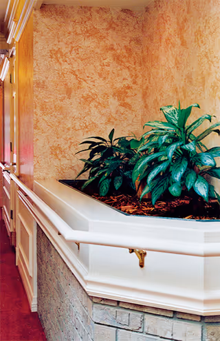 Indoor hallway with a built-in planter containing green leafy plants. The walls have a textured beige finish, and there is a white handrail along the wall. The lower part of the wall is made of stone or brick.