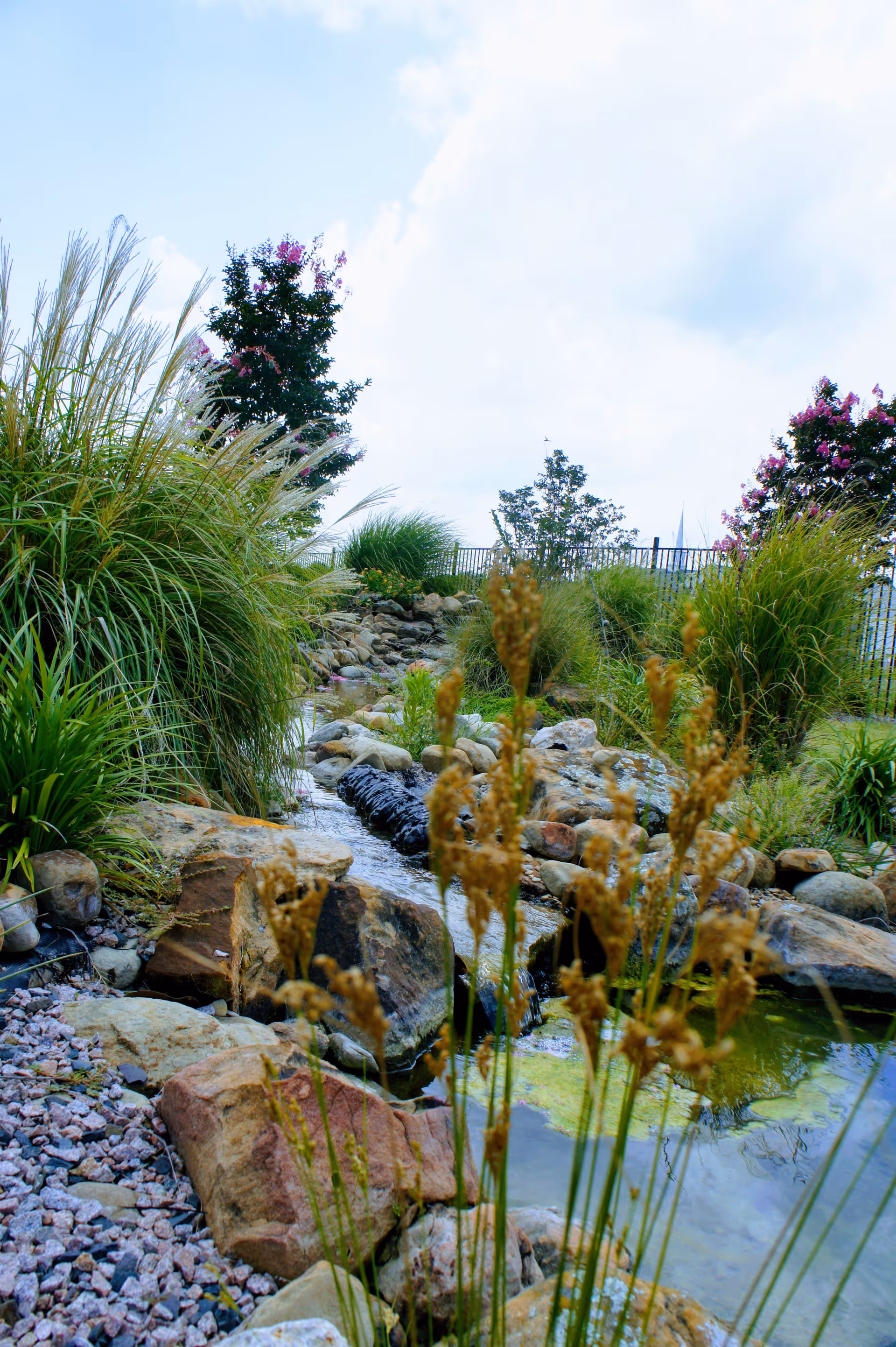 A landscaped outdoor garden area featuring a small rocky stream surrounded by various grasses, plants, and flowering trees under a partly cloudy sky.