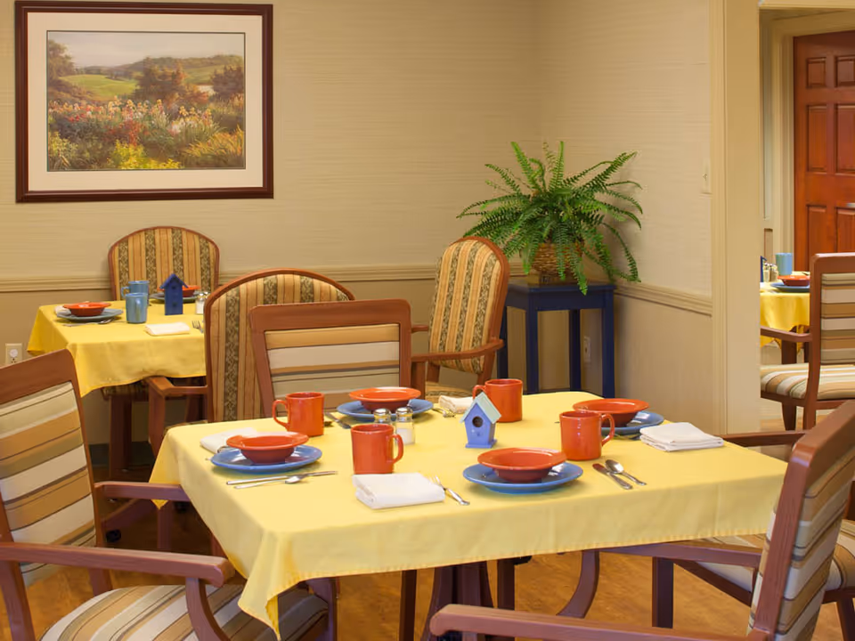 Dining room with yellow tablecloths, colorful place settings and mugs on tables surrounded by striped chairs and a potted fern.