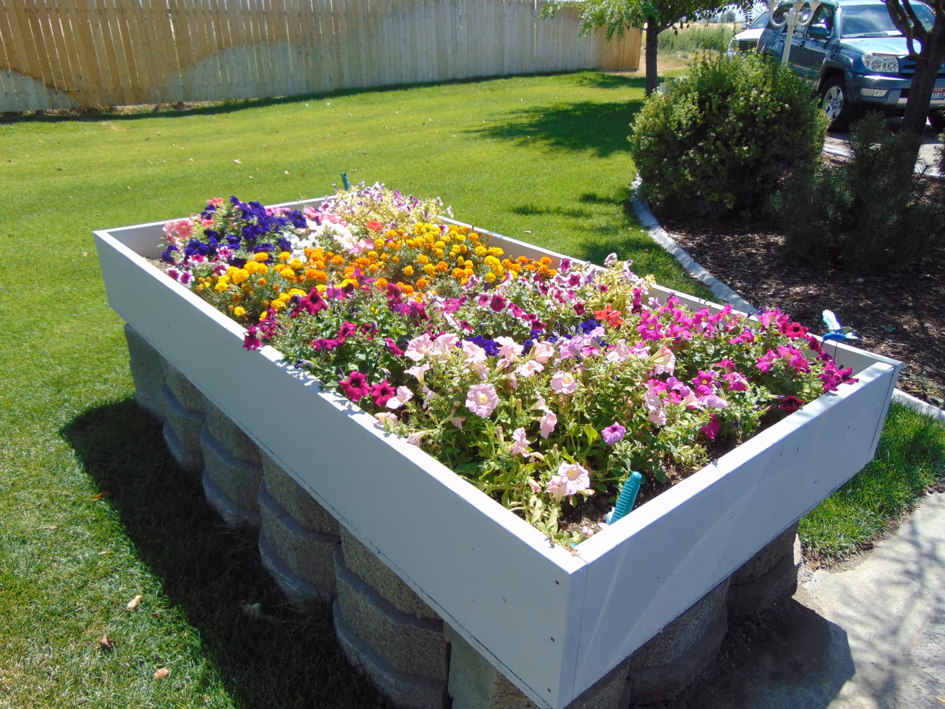 A raised white wooden planter overflowing with colorful flowers on a green lawn with a fence and parked car in the background.