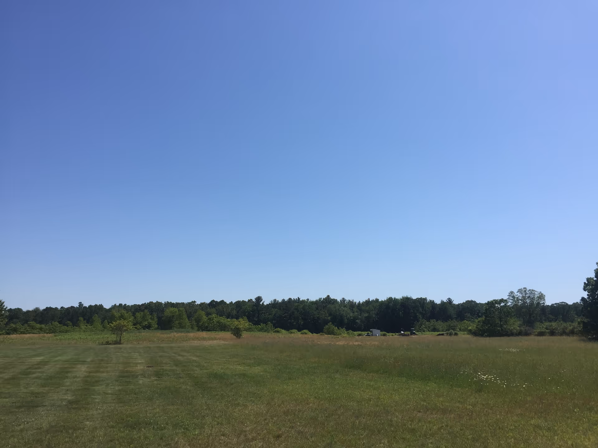 Wide open grassy field with a distant tree line under a clear blue sky.