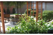 Outdoor courtyard with benches, wooden arbor, and lush greenery at Schulman & Schachne Institute.