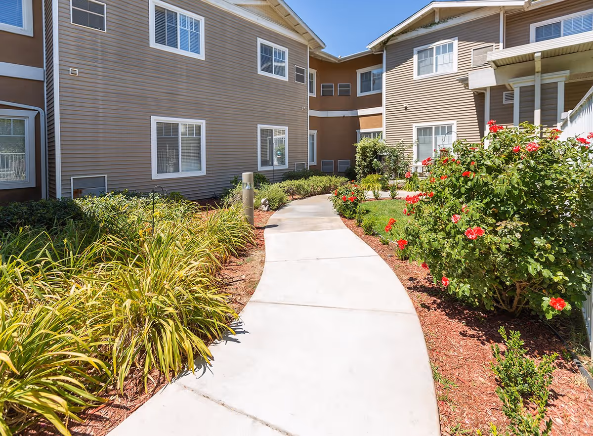 Curved concrete walkway surrounded by green plants and red flowers leading to the entrance of a beige multi-story building with white-framed windows under a clear blue sky.