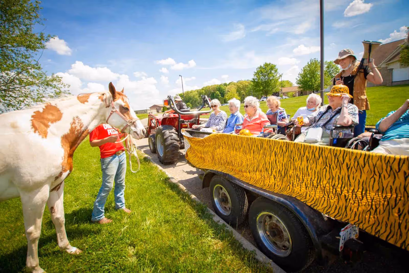 Elderly residents seated in a tiger-striped trailer pulled by a tractor watch a horse led by a handler on a sunny lawn.