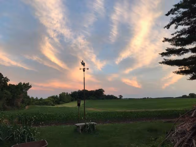 Sunset over a rural green field with a weather vane and trees in the foreground.