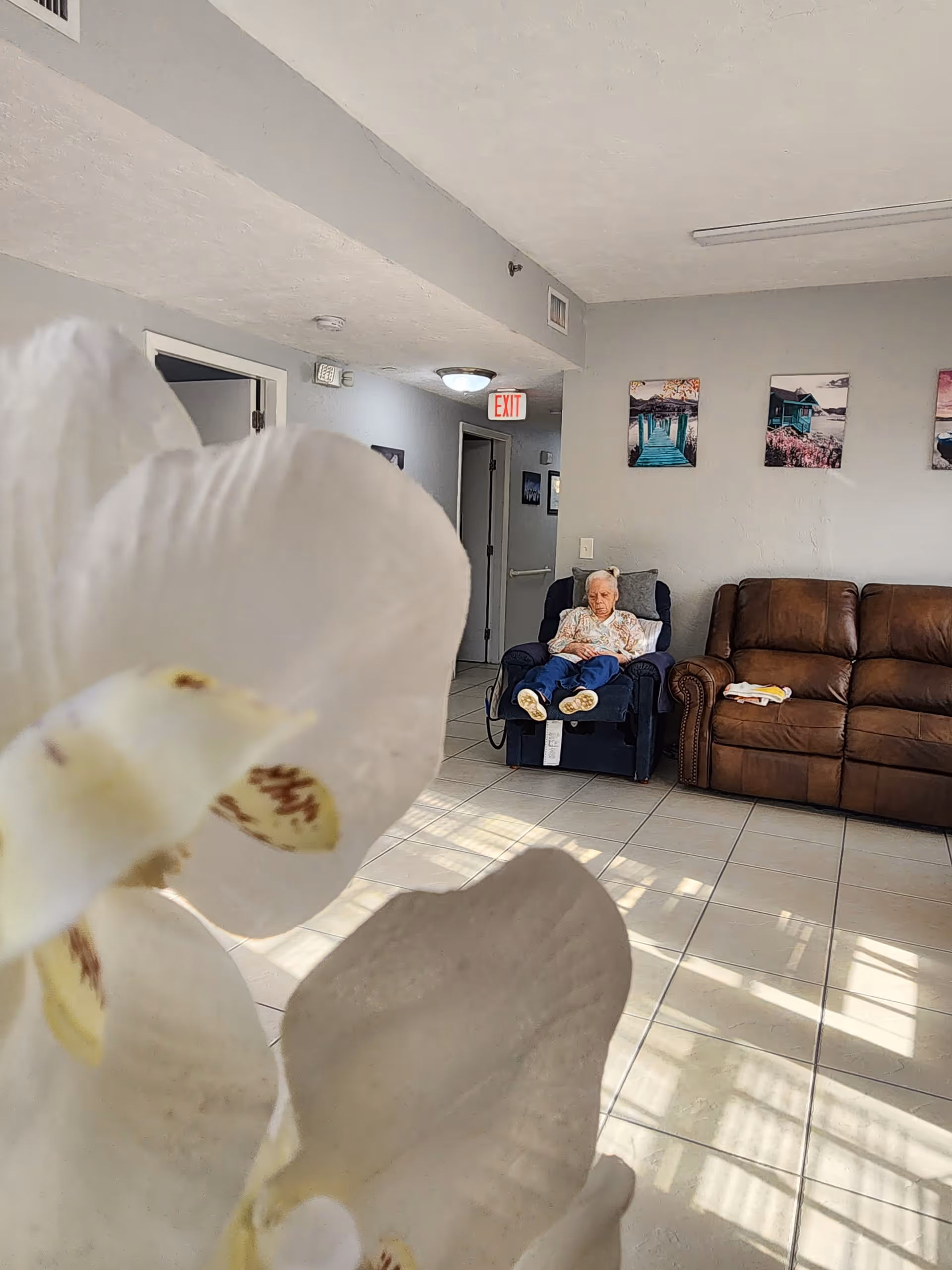 A common room interior with a large white orchid in the foreground and a person seated in a recliner beside a brown sofa.