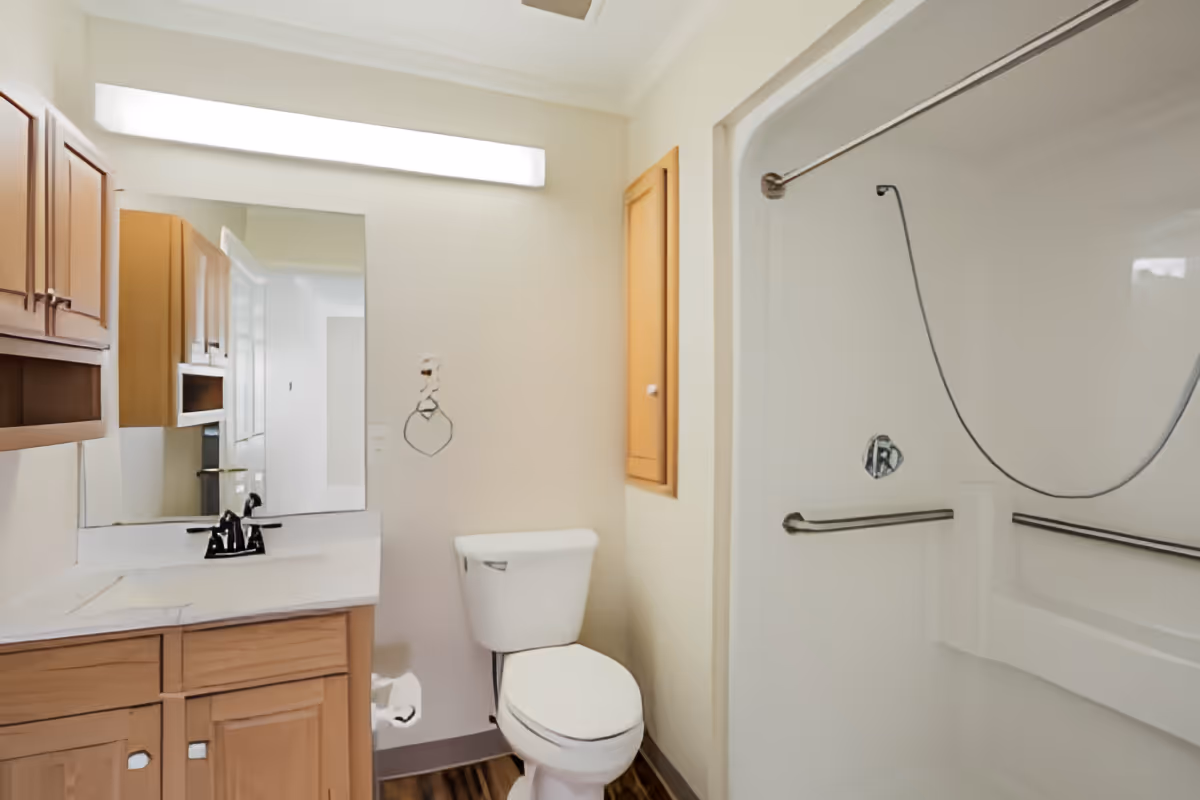 Bright bathroom with a toilet, vanity and mirror, wood cabinets, and a walk-in shower with grab bars.