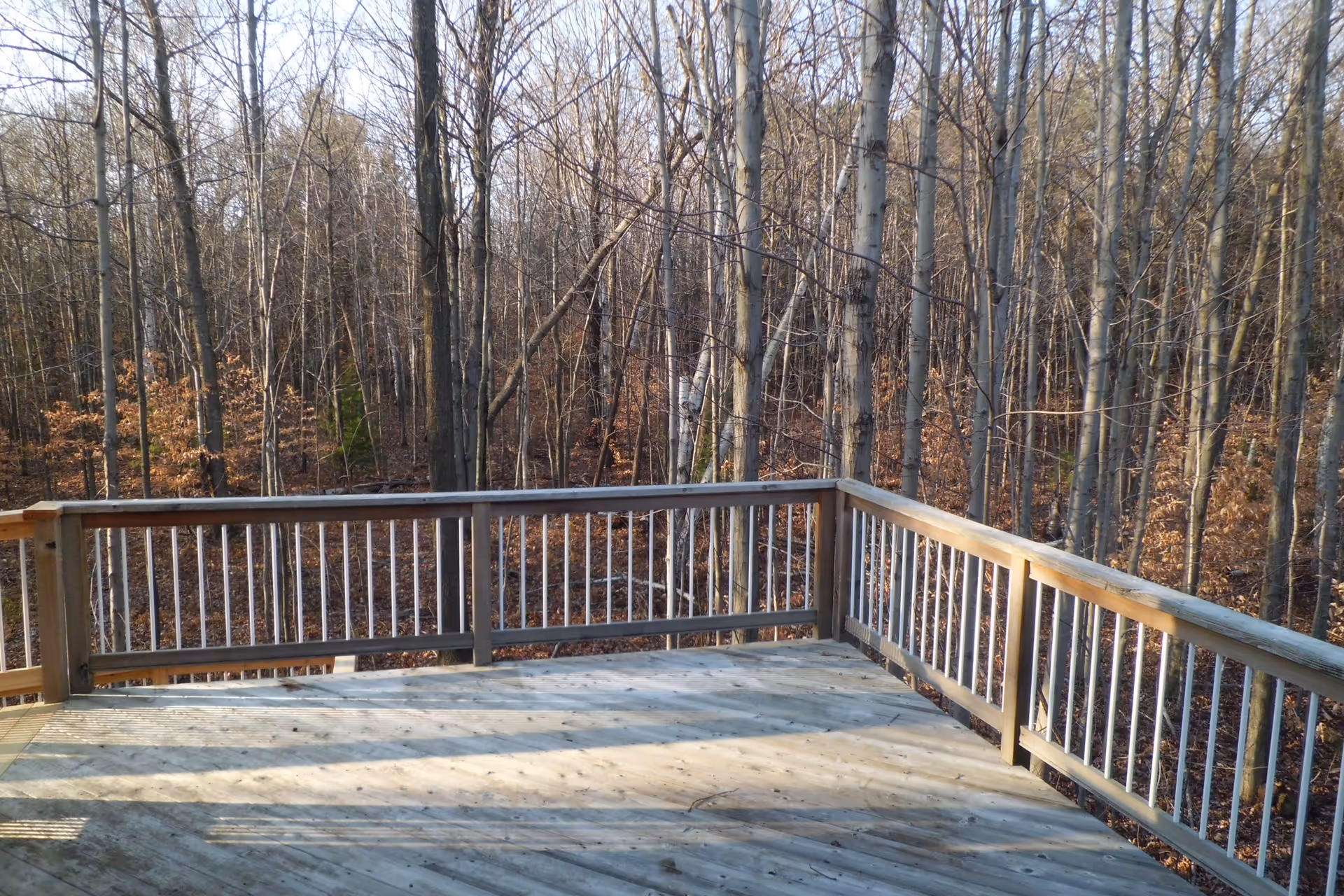 A wooden deck with railing overlooking a forest of leafless trees in late autumn or winter.