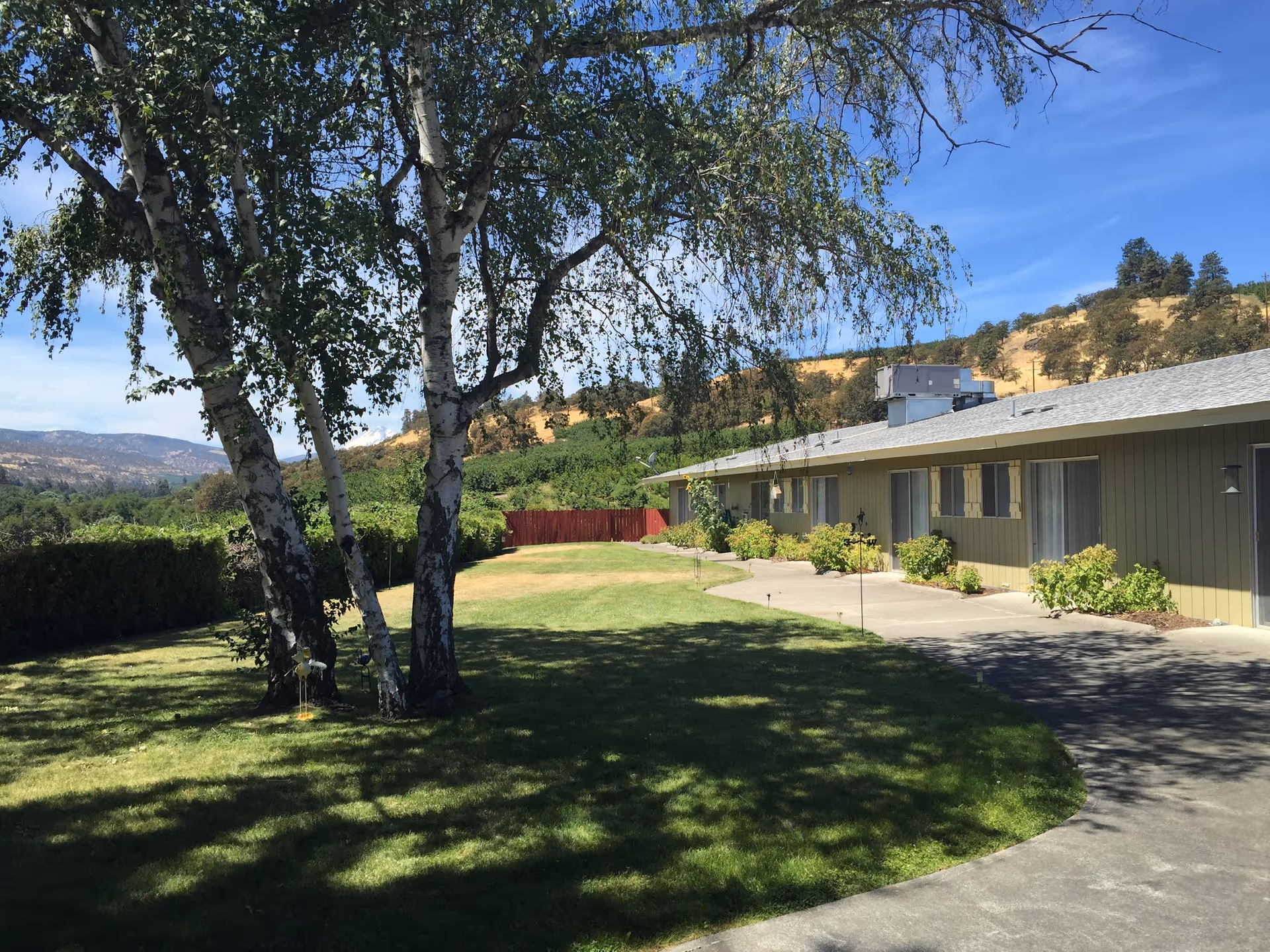 Outdoor view of a senior living facility with a large tree casting shadows on a grassy lawn. A single-story building with multiple windows and a concrete walkway is visible on the right. Hills and a clear blue sky are in the background.