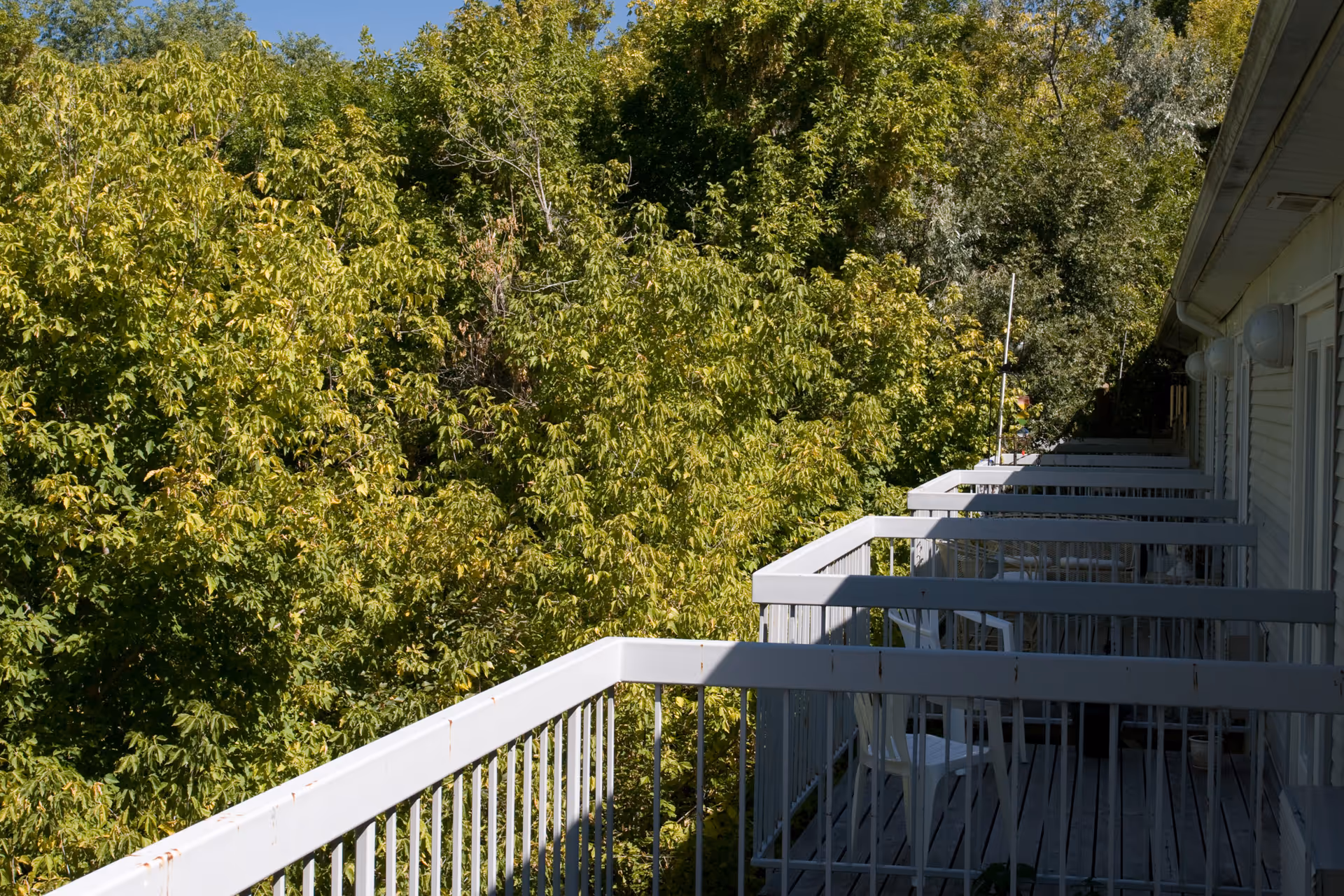 View of a row of small balconies with white railings and chairs attached to a building, overlooking dense green trees under a clear blue sky.